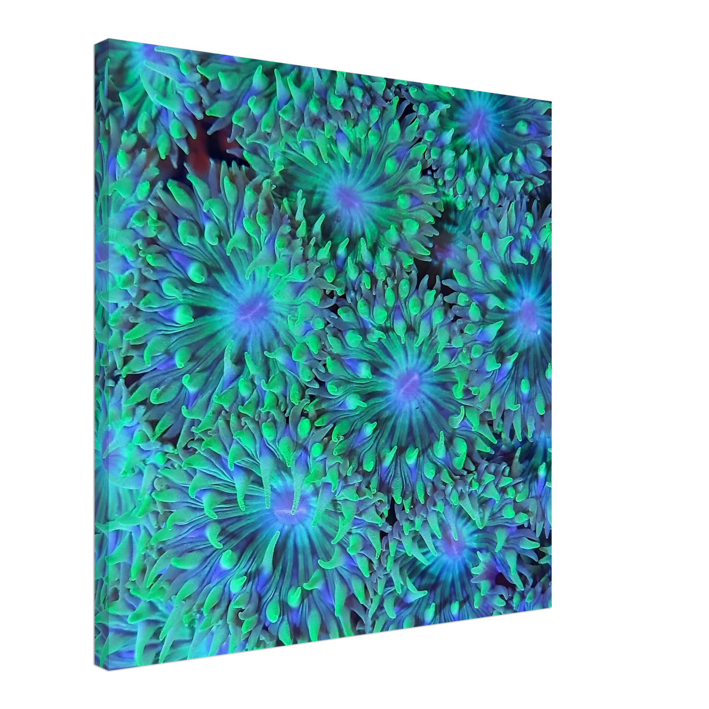 1d0d0eba-dc06-4b0b-b65d-d3f3ba064c05