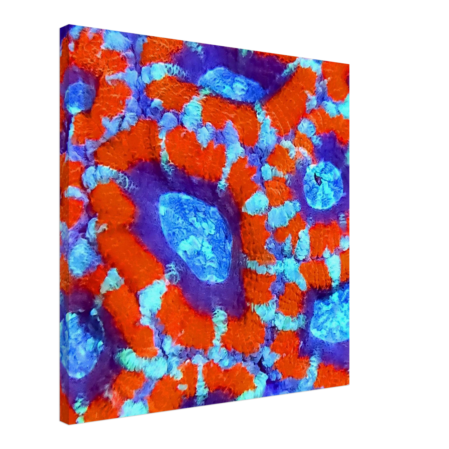 81a36c07-f91e-47c4-a4e7-37e6981797b8