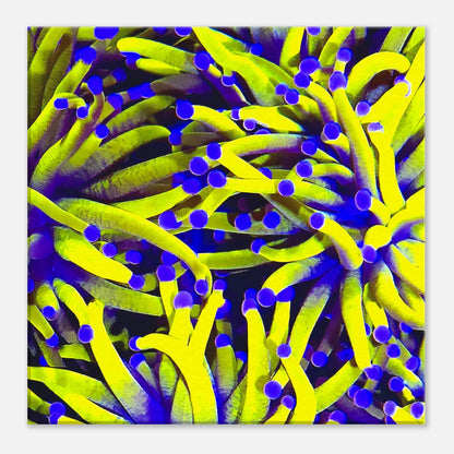 0967f2fd-d560-42f1-8e4e-1e9e5dda5c6a