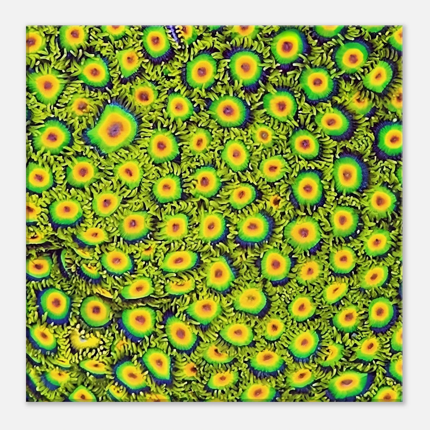 9408f369-64e5-48e2-a946-52e27b2e7c1d