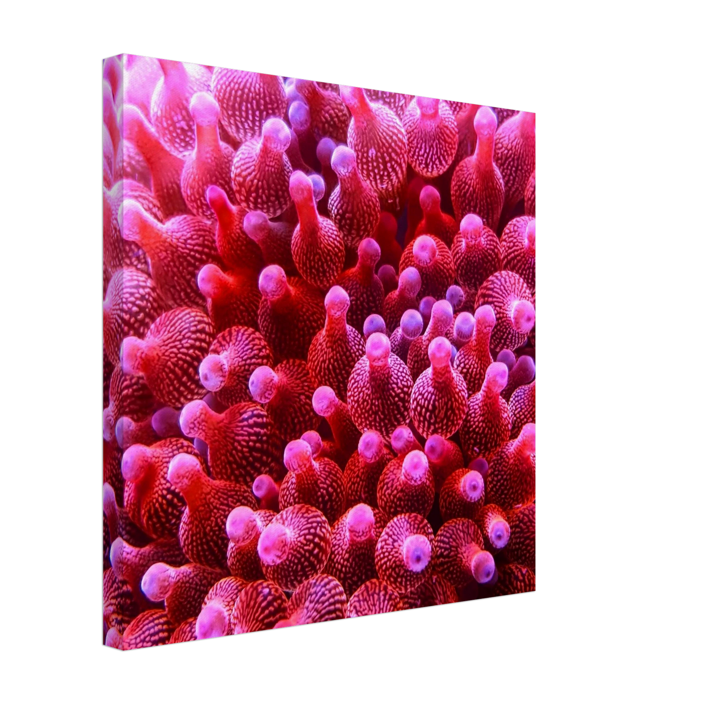 9c4f5802-1145-4263-838c-d15d4cc4f07e