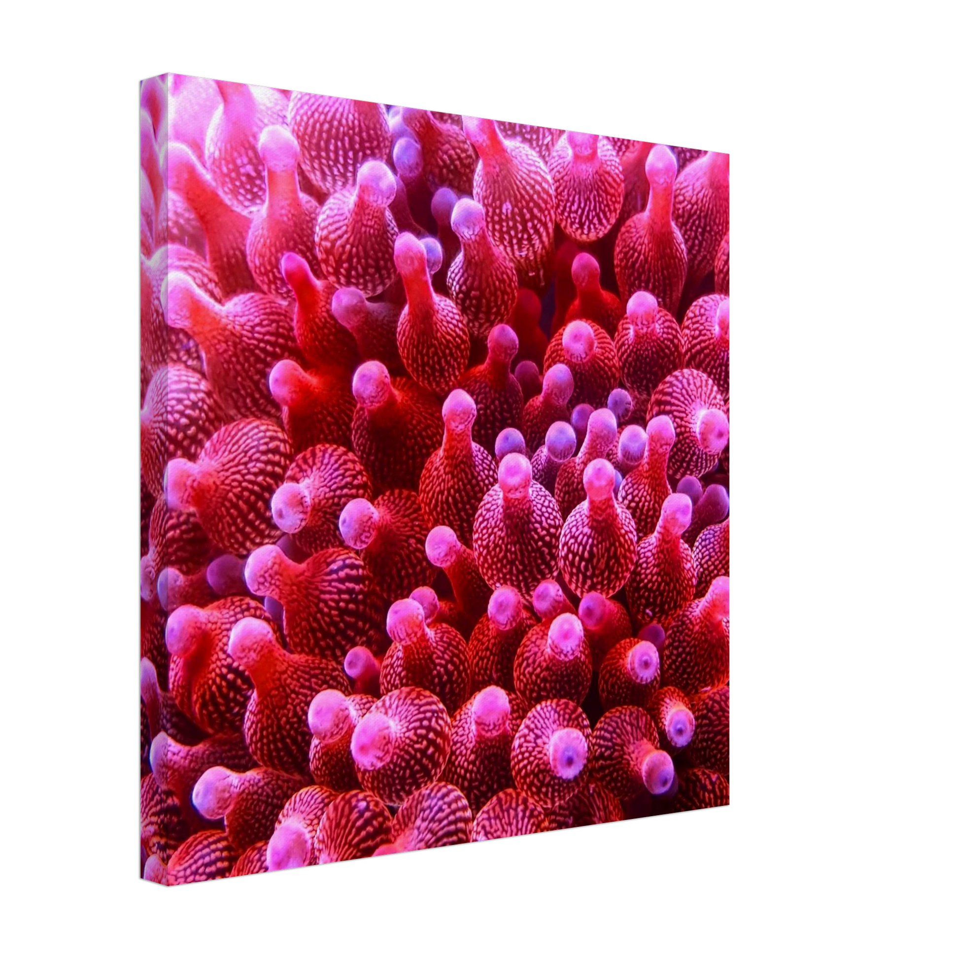 9c4f5802-1145-4263-838c-d15d4cc4f07e