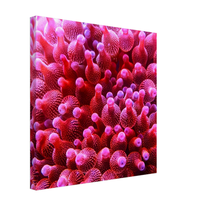 9c4f5802-1145-4263-838c-d15d4cc4f07e