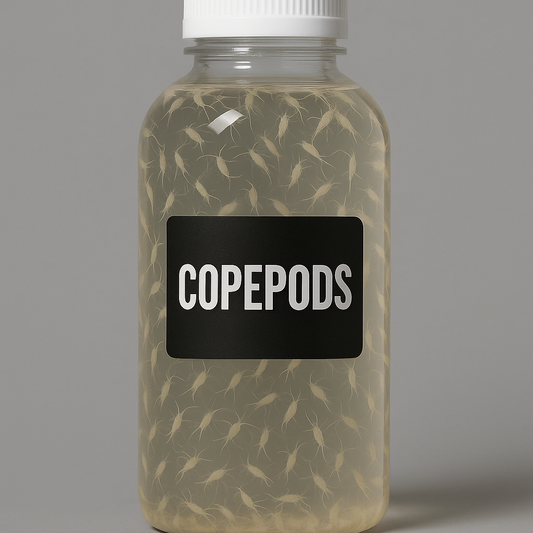 12 Oz Copepod Blend