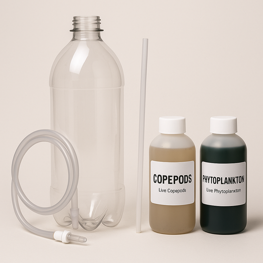 Copepod Culture Starter Kit