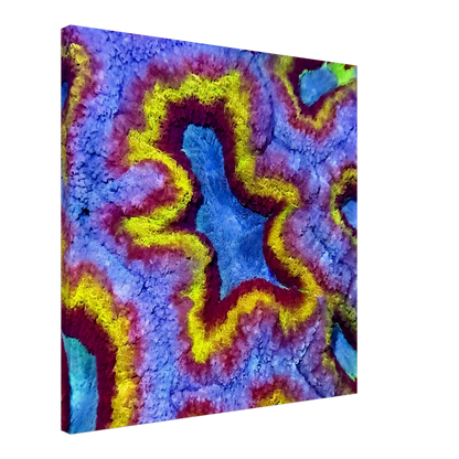 ade2958b-d295-4634-91d6-5dc12c7b0560