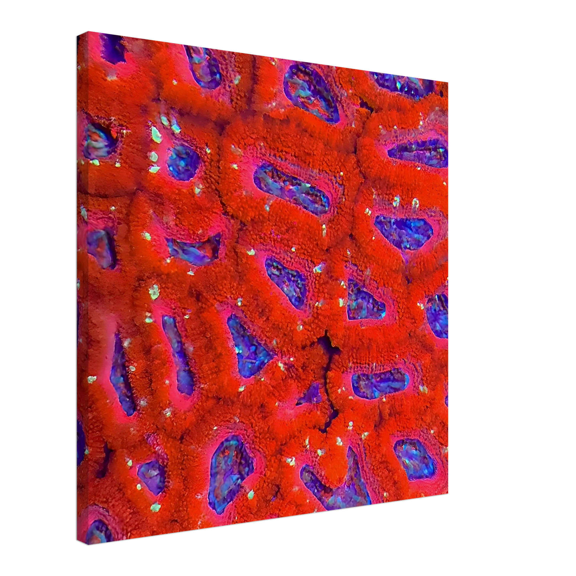 cdc24741-dac4-40a3-a91c-7fac112b28d9