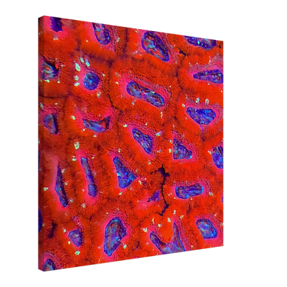 cdc24741-dac4-40a3-a91c-7fac112b28d9