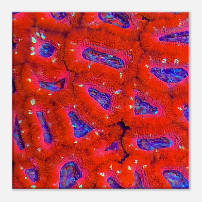 e77fe378-6c01-43a0-87e0-412b4623c223