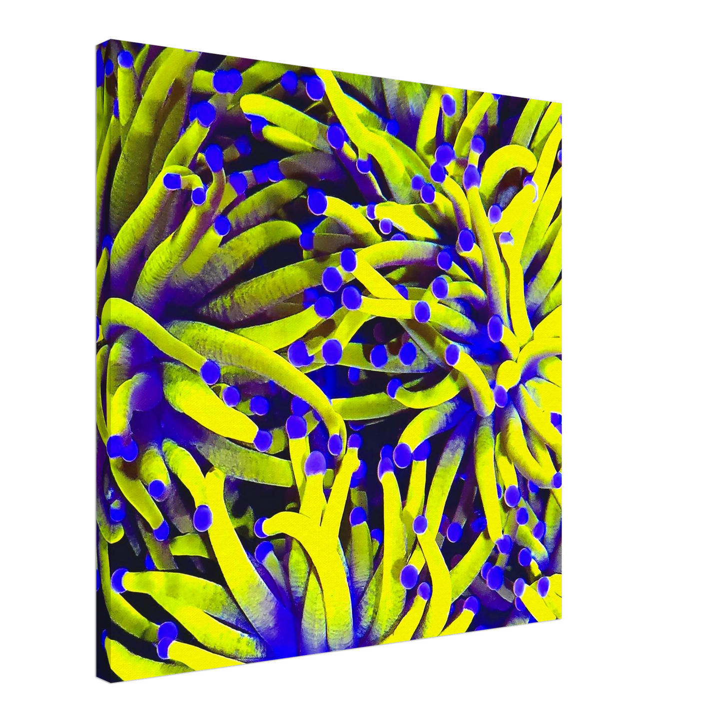 e967a776-48e9-4260-b4e6-6224d64154e1