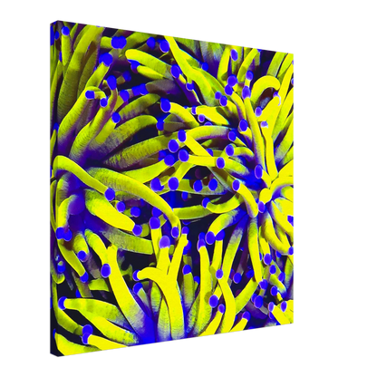 e967a776-48e9-4260-b4e6-6224d64154e1